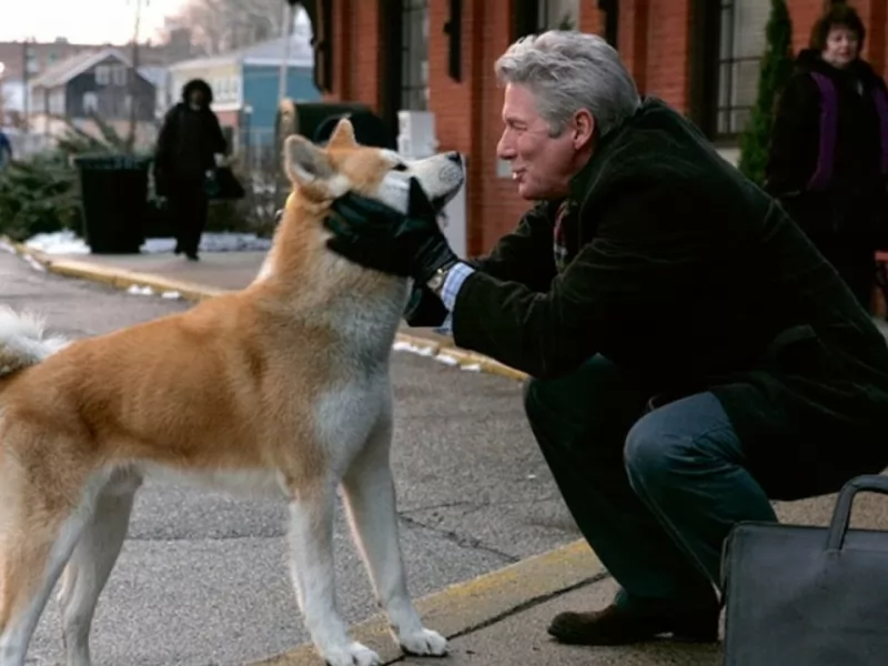 Hachiko Che Fine Ha Fatto Il Cane Che Ha Ispirato Il Film Con Richard