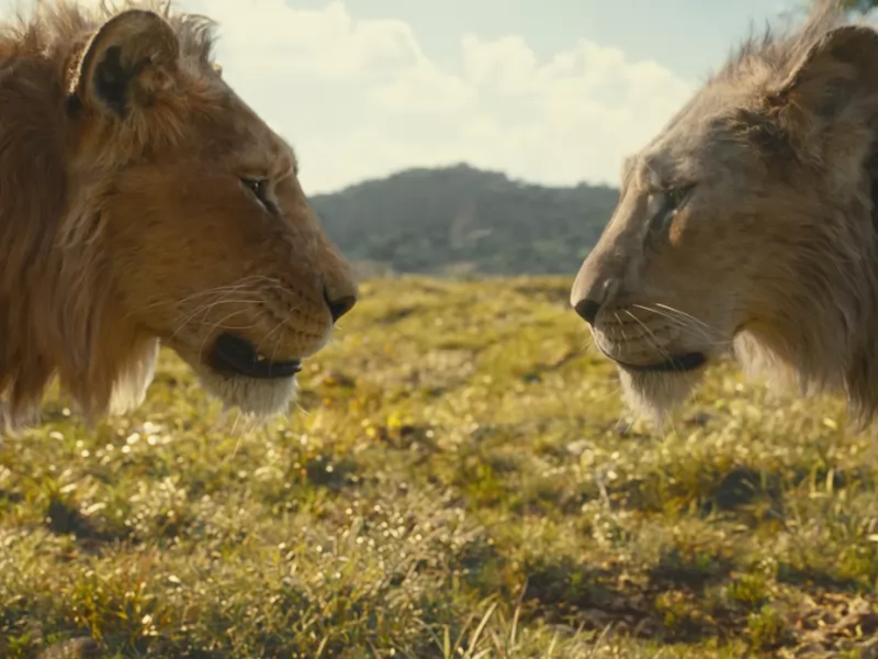 Mufasa – Il re leone, Barry Jenkins ammette:”Devo sempre riaffermare le mie capacità”